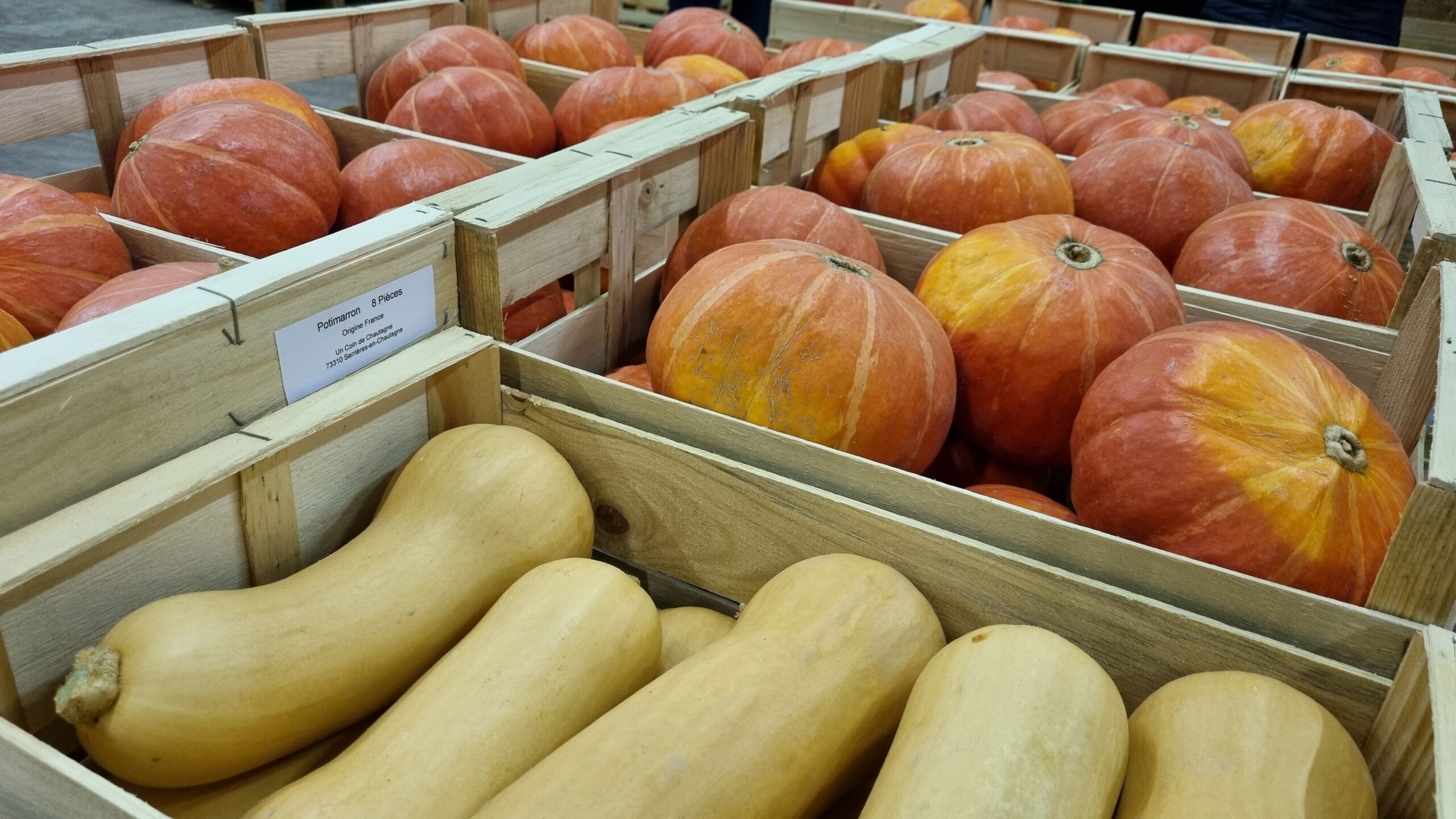 Légumes dans des cagettes.
