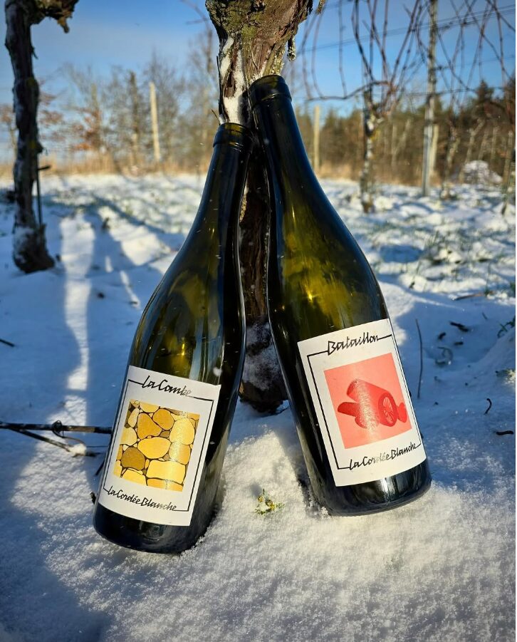 Deux bouteilles "La Combe" et "Bataillon" sur la neige.