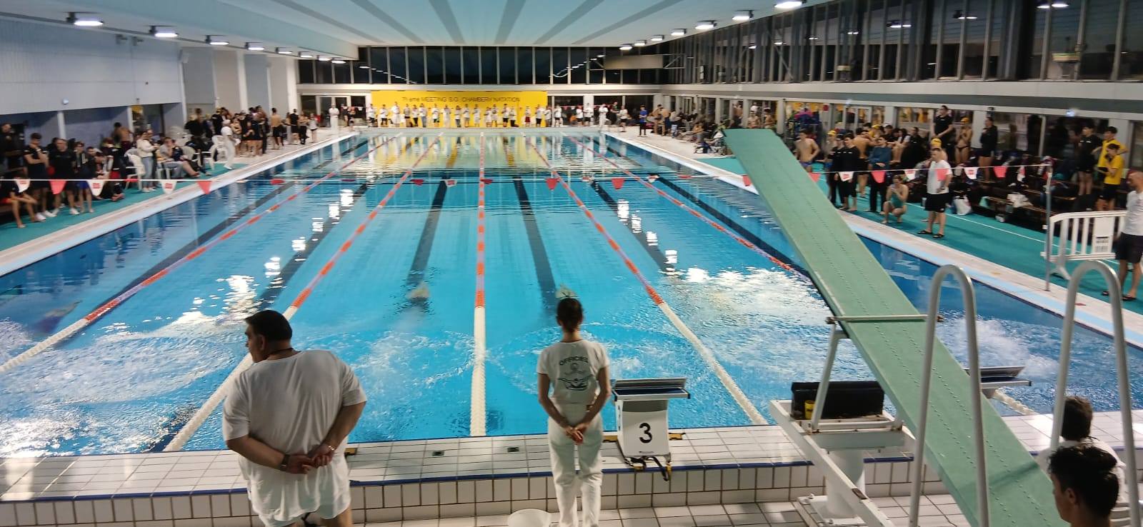 Manifestation de natation dans un bassin