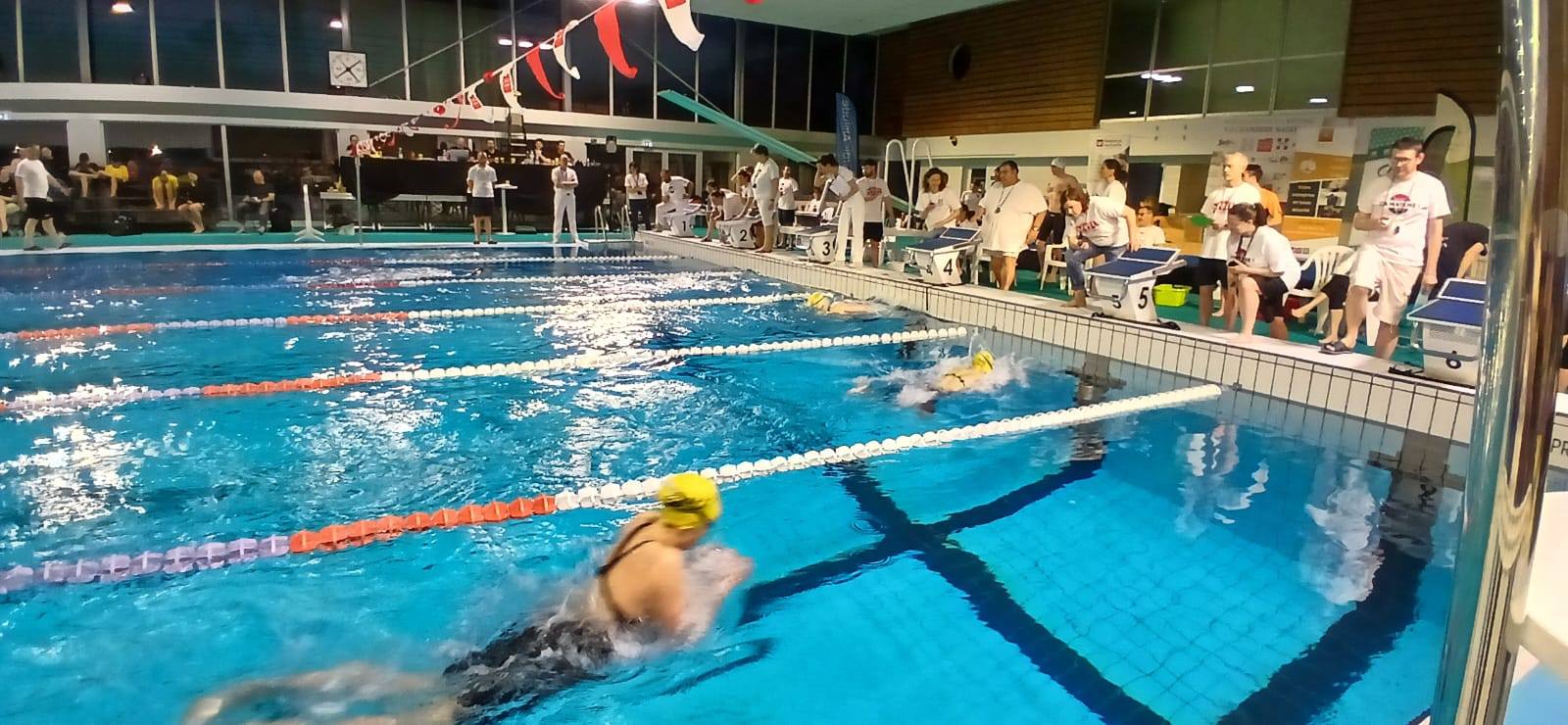 Manifestation de natation dans un bassin